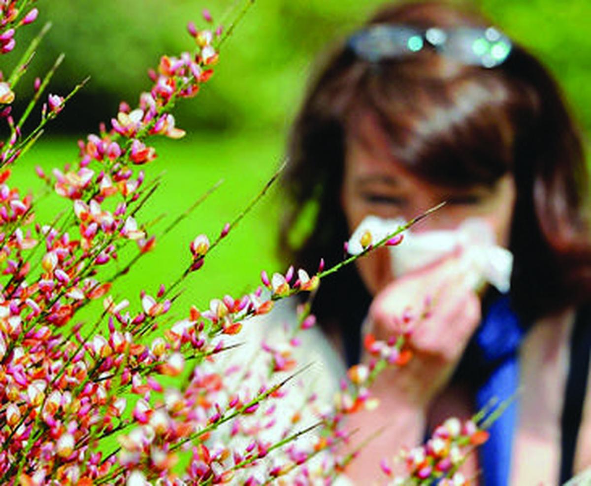 , Impact sur la vie sociale, complications… : que faire quand les allergies aux pollens deviennent trop gênantes